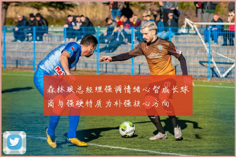 森林狼总经理强调情绪心智成长球商与强硬特质为补强核心方向