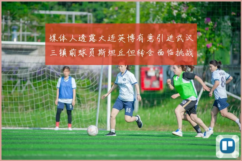 媒体人透露大连英博有意引进武汉三镇前球员斯坦丘但转会面临挑战